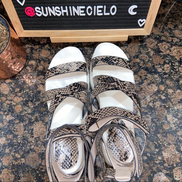 wild fable : kaya gladiator sandals - Picture 8 of 8